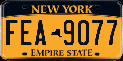 NY license plate FEA9077