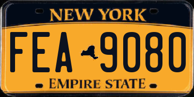 NY license plate FEA9080
