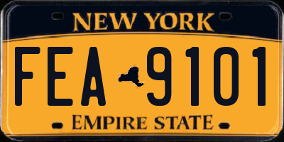 NY license plate FEA9101
