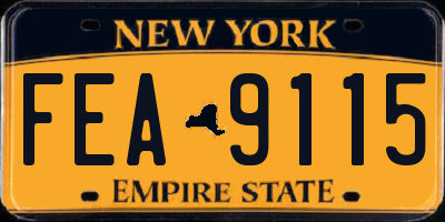 NY license plate FEA9115