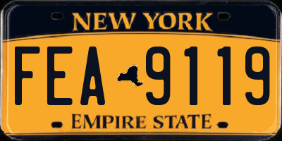 NY license plate FEA9119