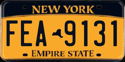 NY license plate FEA9131
