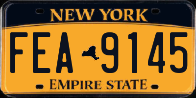 NY license plate FEA9145