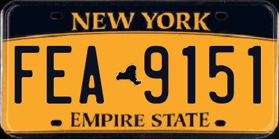 NY license plate FEA9151