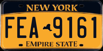 NY license plate FEA9161