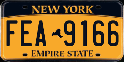 NY license plate FEA9166