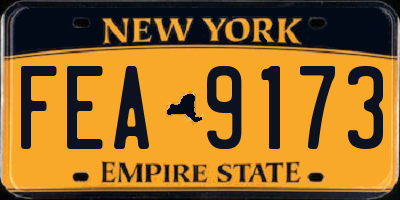 NY license plate FEA9173