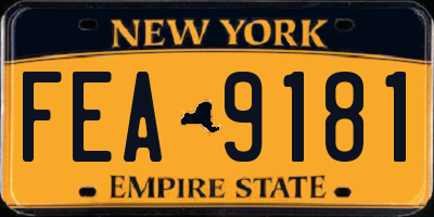 NY license plate FEA9181