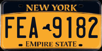 NY license plate FEA9182