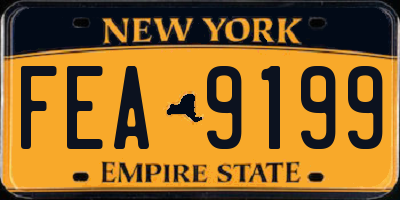 NY license plate FEA9199
