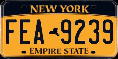 NY license plate FEA9239