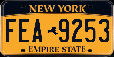 NY license plate FEA9253