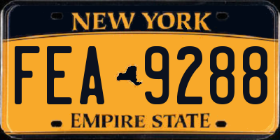 NY license plate FEA9288