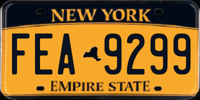 NY license plate FEA9299