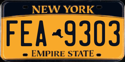 NY license plate FEA9303