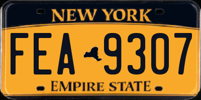 NY license plate FEA9307