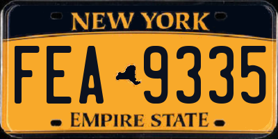 NY license plate FEA9335
