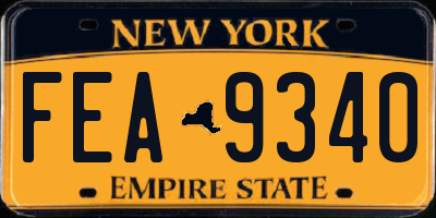 NY license plate FEA9340