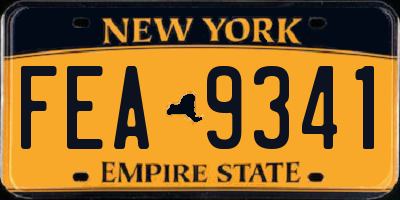 NY license plate FEA9341