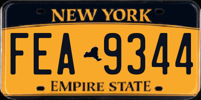 NY license plate FEA9344