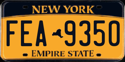 NY license plate FEA9350
