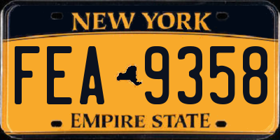 NY license plate FEA9358