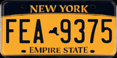 NY license plate FEA9375