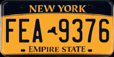 NY license plate FEA9376
