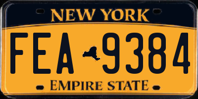 NY license plate FEA9384