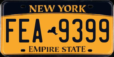 NY license plate FEA9399