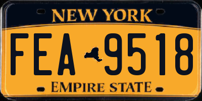 NY license plate FEA9518