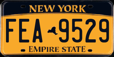 NY license plate FEA9529