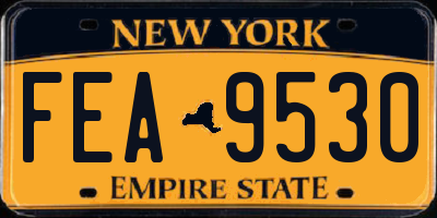 NY license plate FEA9530
