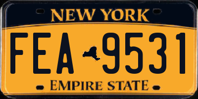NY license plate FEA9531