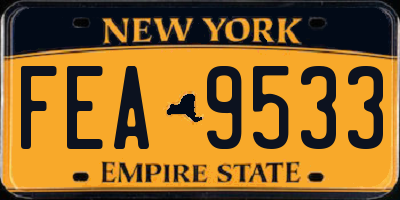 NY license plate FEA9533