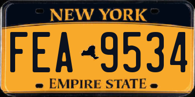 NY license plate FEA9534