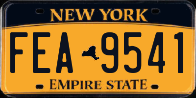 NY license plate FEA9541
