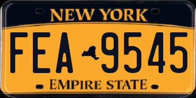NY license plate FEA9545