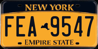 NY license plate FEA9547