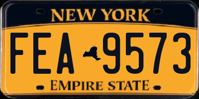 NY license plate FEA9573