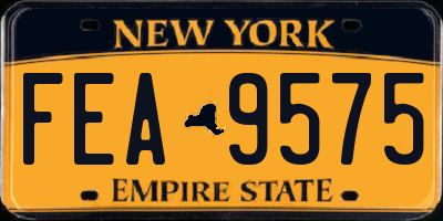 NY license plate FEA9575