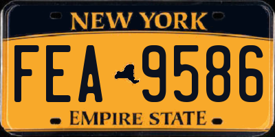 NY license plate FEA9586