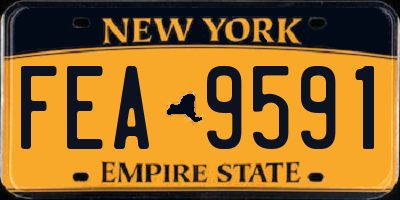 NY license plate FEA9591