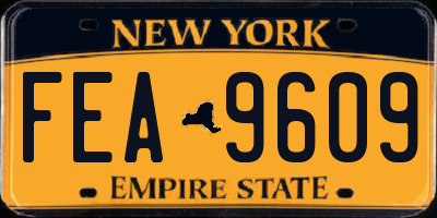 NY license plate FEA9609