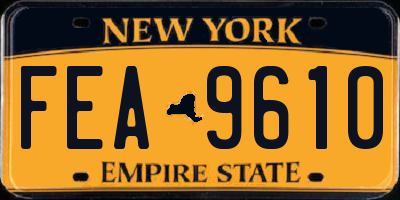 NY license plate FEA9610