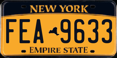 NY license plate FEA9633