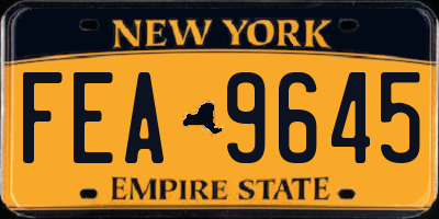 NY license plate FEA9645