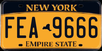 NY license plate FEA9666