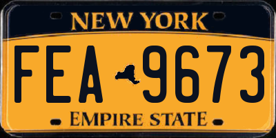 NY license plate FEA9673