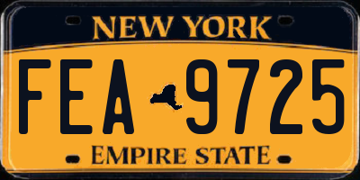 NY license plate FEA9725